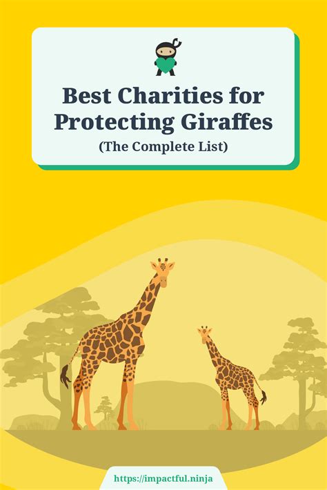 9 Best Charities for Protecting Nature (Complete 2024 List).